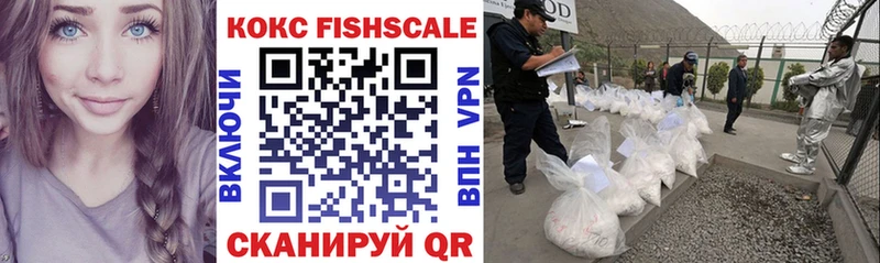 КОКАИН FishScale  Купить где  Завитинск 