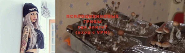 ешки Белоозёрский