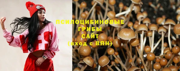 метадон Белокуриха